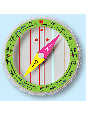 Колба компаса Moscompass модель 22