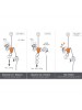 Устройство спусковое Climbing Technology Sparrow 200R (Цвет Orange)
